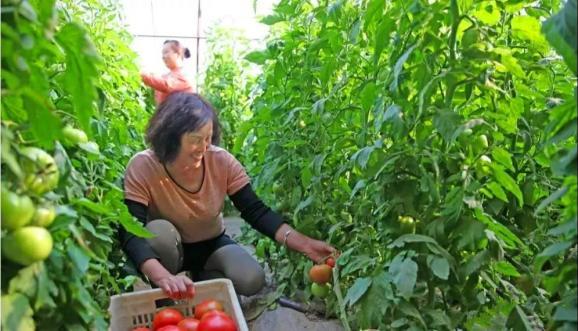 （水果777手机游戏模拟器单机版免费下载与畅玩指南）