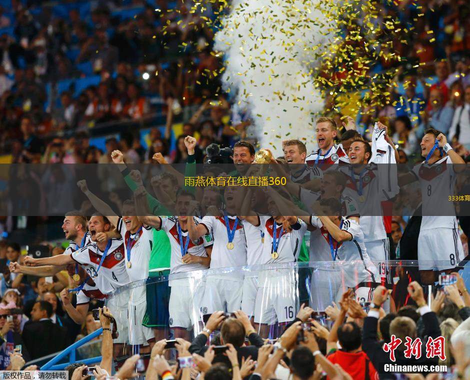 全景视界：雨燕360体育直播新体验