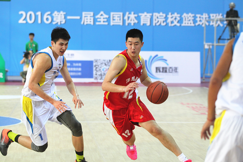 乐球体育直播，乐动体育现场直播新体验