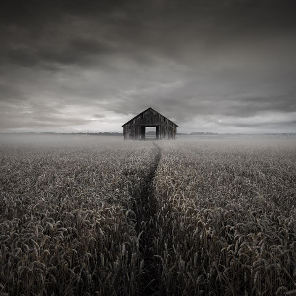 黑白直播体育，探索极简风格的体育直播新体验