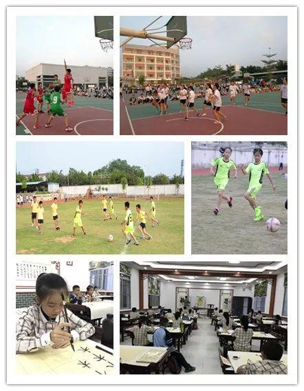 江南足球网站：✅江南足球新门户：开启你的足球世界？